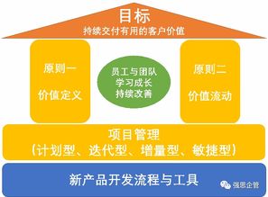 研發項目管理在教育項目中的實踐與策略